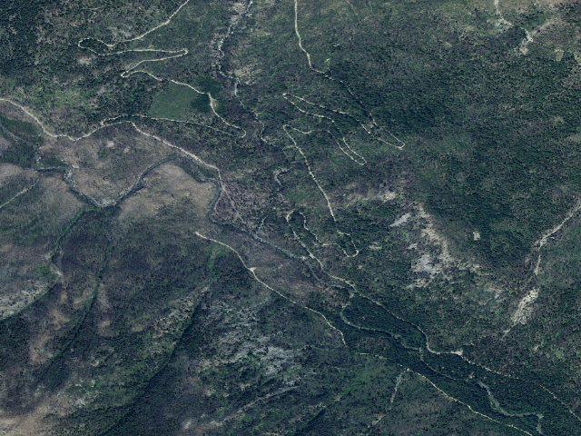 Aerial image of Snowshoe
