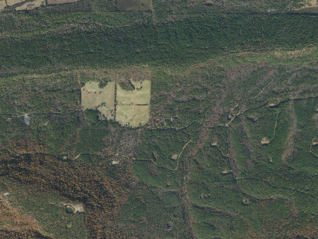 Aerial image of Sorghum Hollow