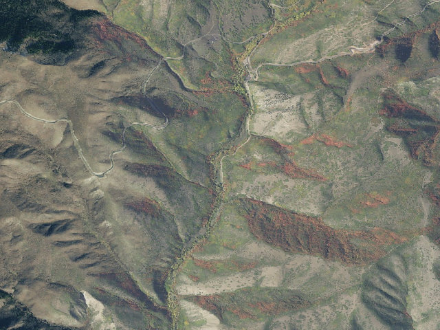 Aerial image of South Cascade Springs Dispersed Camping Areas