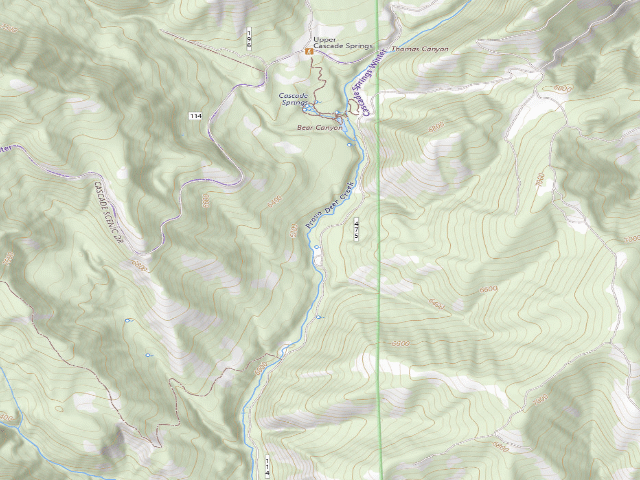 USGS topographic map of South Cascade Springs Dispersed Camping Areas