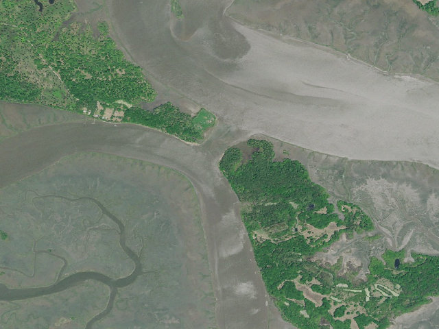 Aerial image of South Fenwick Island WMA Campsite 1