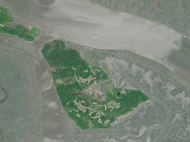 Aerial image of South Fenwick Island WMA Campsite 2