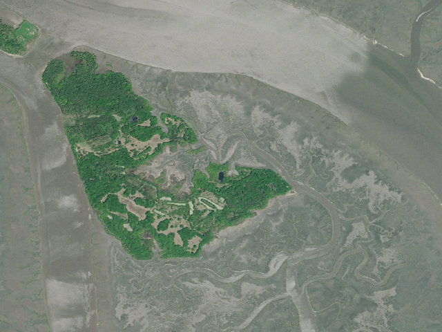 Aerial image of South Fenwick Island WMA Campsite 3