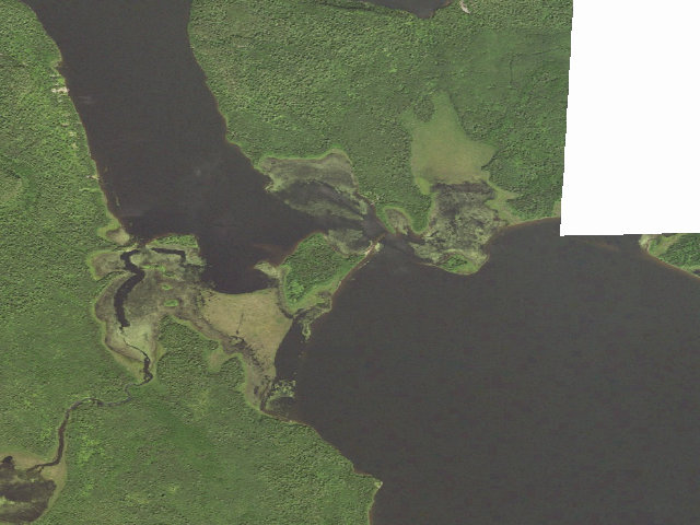 Aerial image of South Fowl Lake Site 1