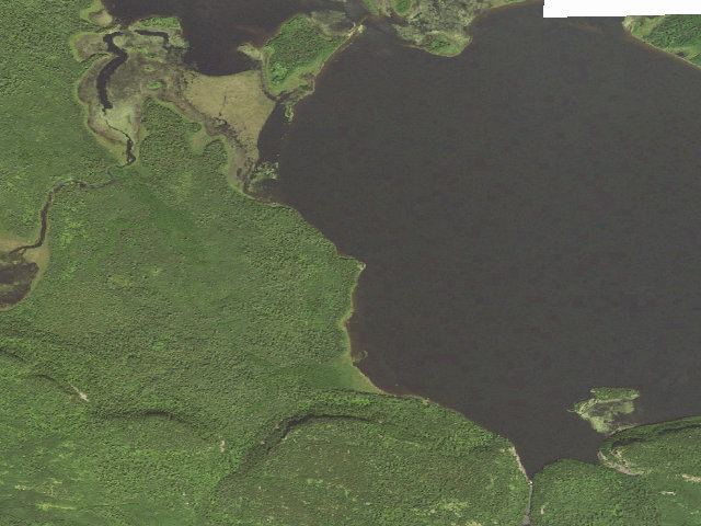 Aerial image of South Fowl Lake Site 2