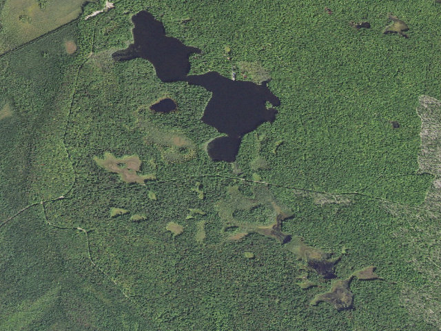 Aerial image of South Gemini Lake State Forest Campground