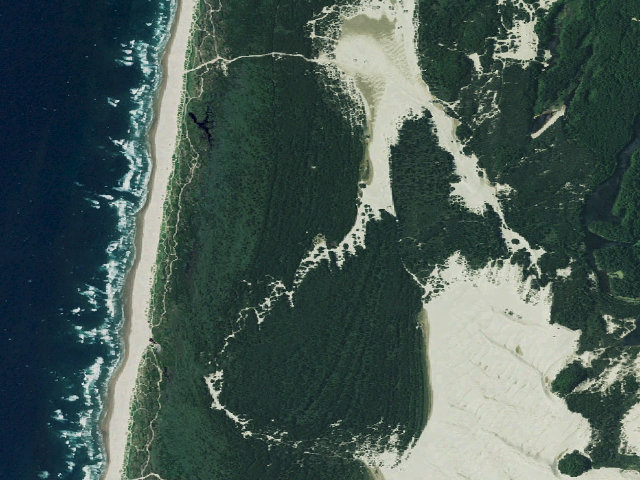 Aerial image of South Jetty Sand Camping site 14