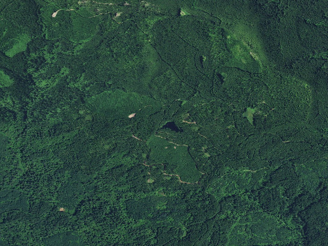 Aerial image of South Lake Dispersed Camping