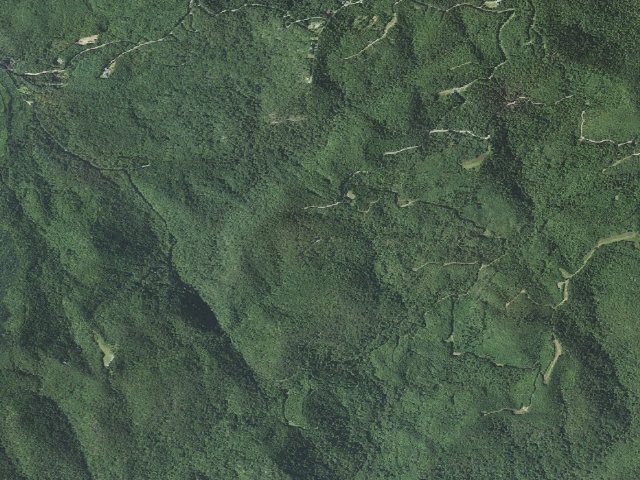 Aerial image of South Mountains Game Land camping area #1