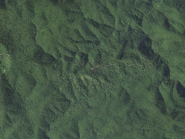 Aerial image of South Mountains Game Land camping area #2