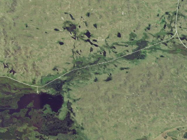 Aerial image of South Pine WMA