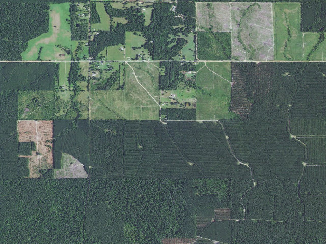 Aerial image of South Shinewell Camp Spot (Herron Family WMA)