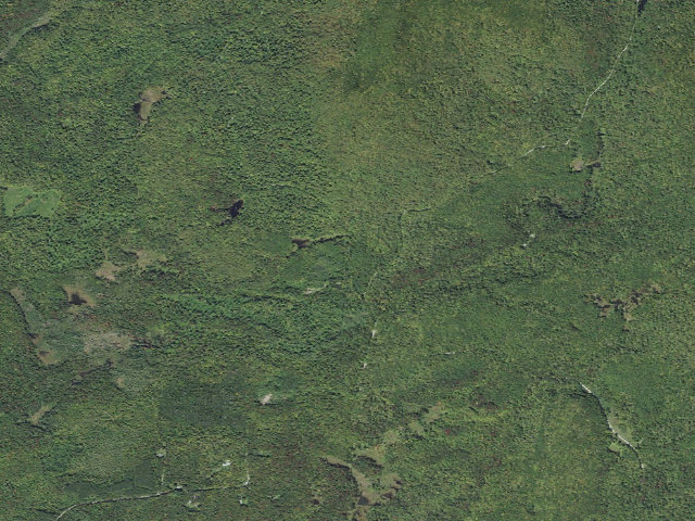 Aerial image of Sparks Landing Primitive Campsite