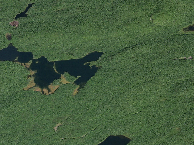 Aerial image of Spectacle Lake #2 (Ferris Lake Wild Forest)