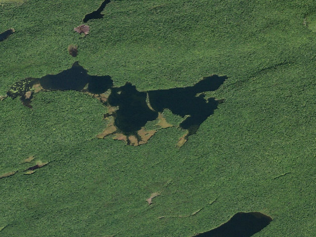 Aerial image of Spectacle Lake #3 (Ferris Lake Wild Forest)