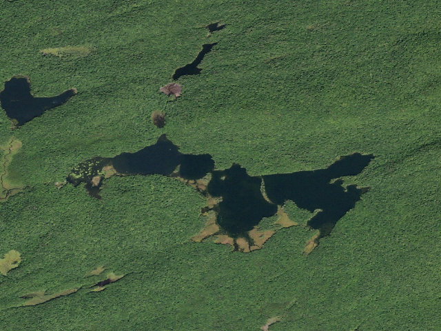 Aerial image of Spectacle Lake #4 (Ferris Lake Wild Forest)