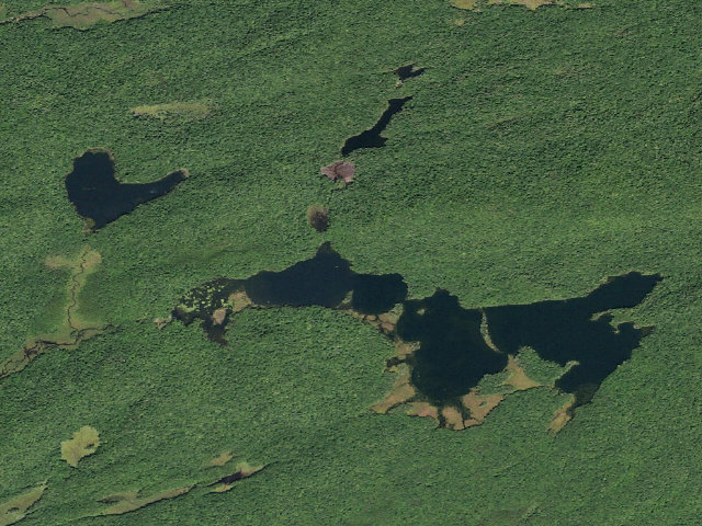 Aerial image of Spectacle Lake #5 (Ferris Lake Wild Forest)