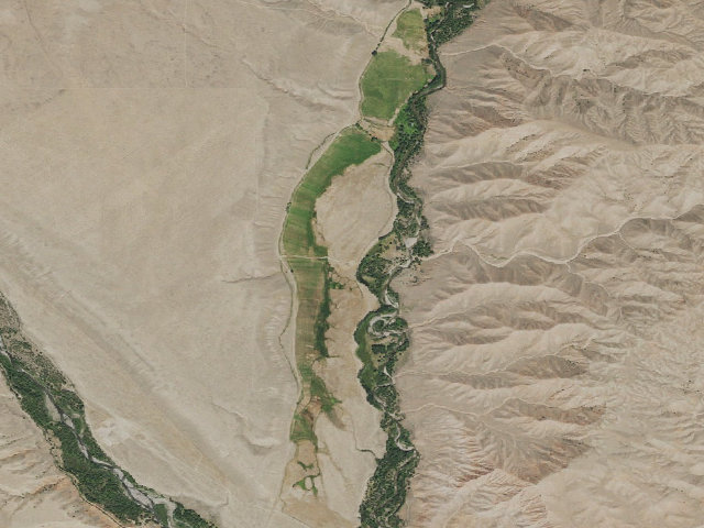 Aerial image of Spence & Moriarity WHMA — Long Meadow Campground