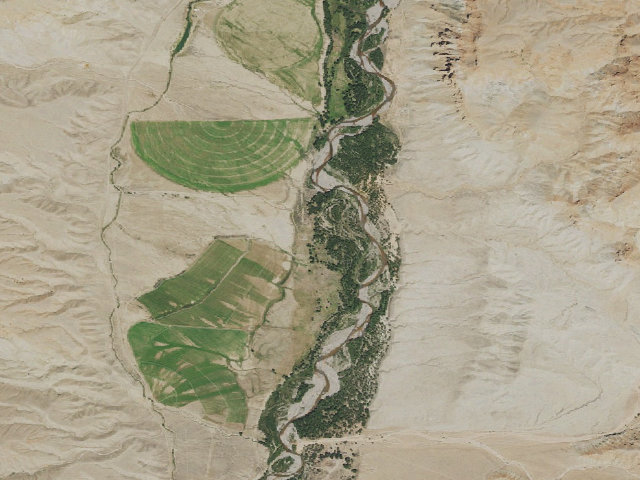 Aerial image of Spence & Moriarity WHMA — Zeng's Hideaway Campground
