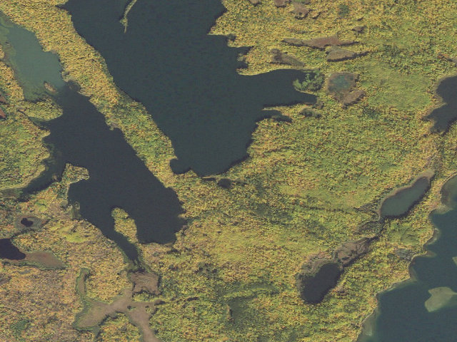 Aerial image of Spider Lake Campsites M36 To M39