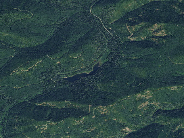 Aerial image of Spider Lake