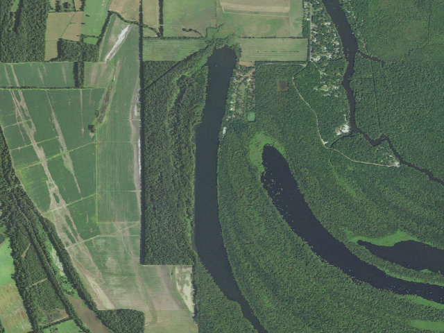 Aerial image of Spring Bayou WMA primitive camping area 1