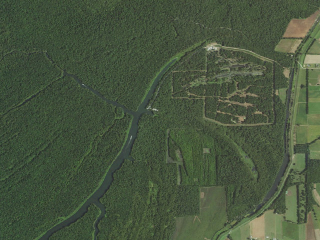 Aerial image of Spring Bayou WMA primitive camping area 3