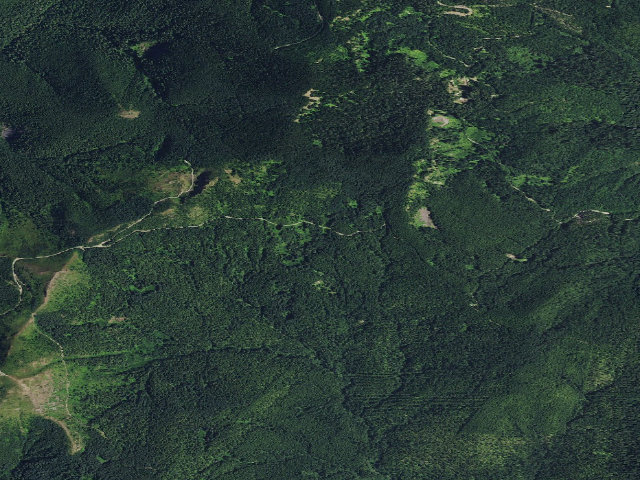 Aerial image of Spring Camp