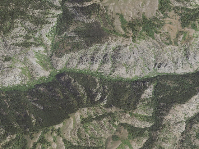 Aerial image of Spring Campground