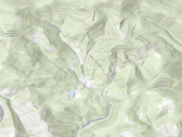 USGS topographic map of Spring Gulch Rd 1020 007