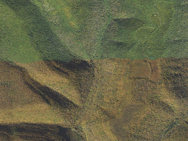 Aerial image of Sproul State Forest roadside campsite 022 (LHBYWC Before Shingle Branch Bridge Campsite #22)