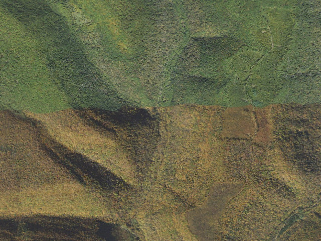Aerial image of Sproul State Forest roadside campsite 023 (LHBYWC After Shingle Branch Bridge Campsite #23)