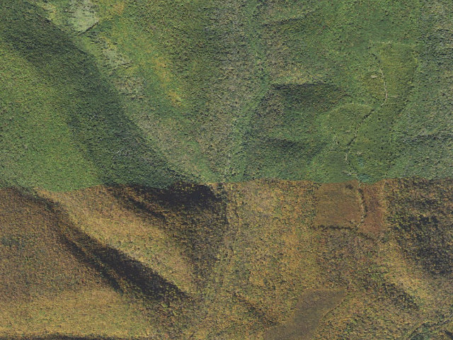 Aerial image of Sproul State Forest roadside campsite 024 Shingle Branch (LHBYWC Shingle Branch Site #24)