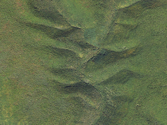 Aerial image of Sproul State Forest roadside campsite 025 Oxbow (LHBYWC Oxbow Site #25)