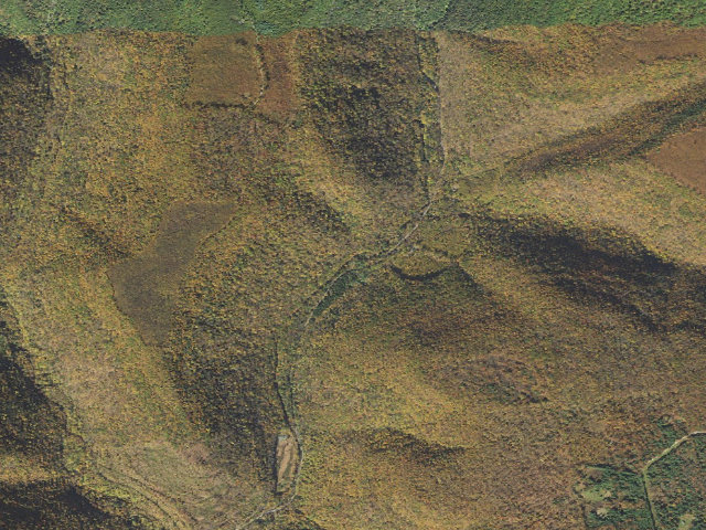 Aerial image of Sproul State Forest roadside campsite 026 Plantation Hole (RHBYWC Plantation Hole Gauging Station Campsite #26)