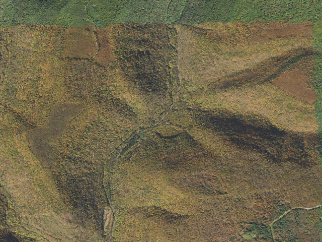 Aerial image of Sproul State Forest roadside campsite 027 Laurelly Fork