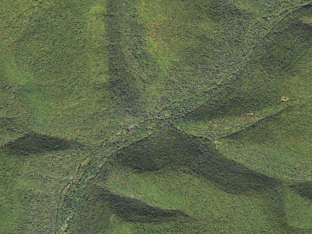 Aerial image of Sproul State Forest roadside campsite 028 Bull Run (RHBYWC Bull Run Site #28)