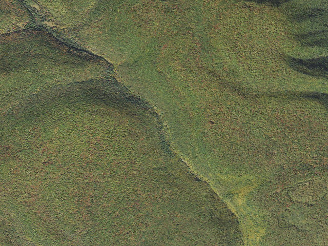 Aerial image of Sproul State Forest roadside campsite CR003