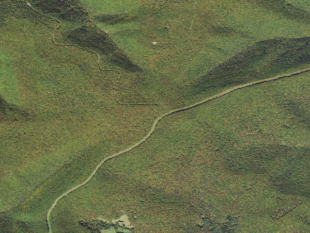 Aerial image of Sproul State Forest roadside campsite CR007