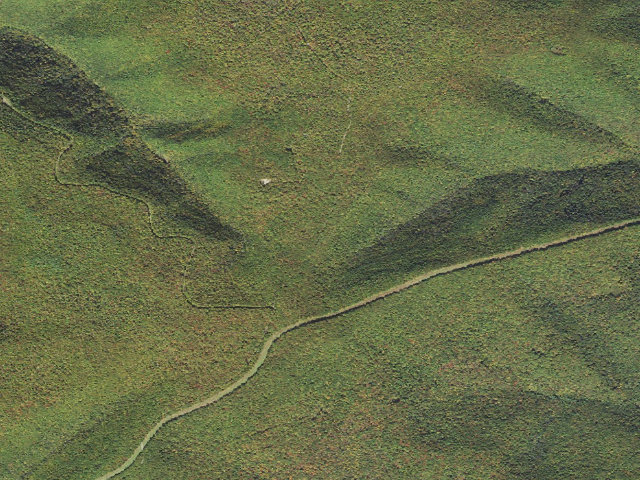 Aerial image of Sproul State Forest roadside campsite CR008