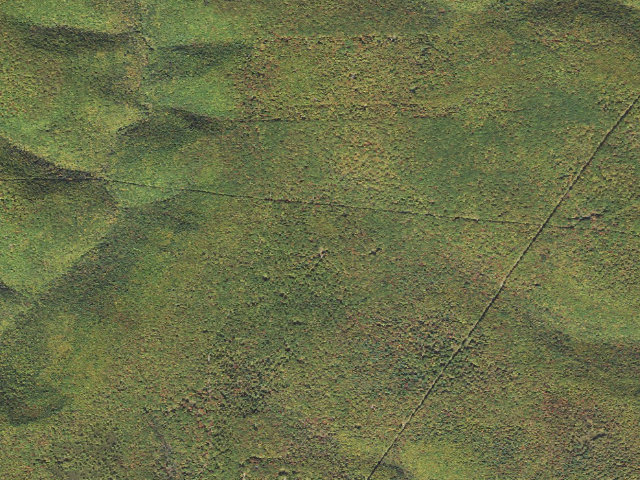 Aerial image of Sproul State Forest roadside campsite CR009