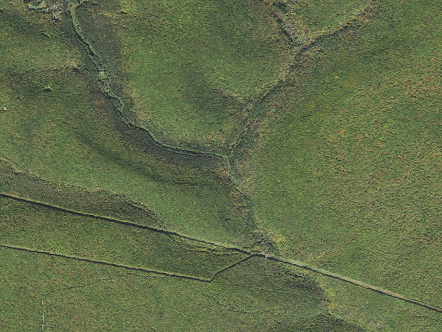Aerial image of Sproul State Forest roadside campsite CR012