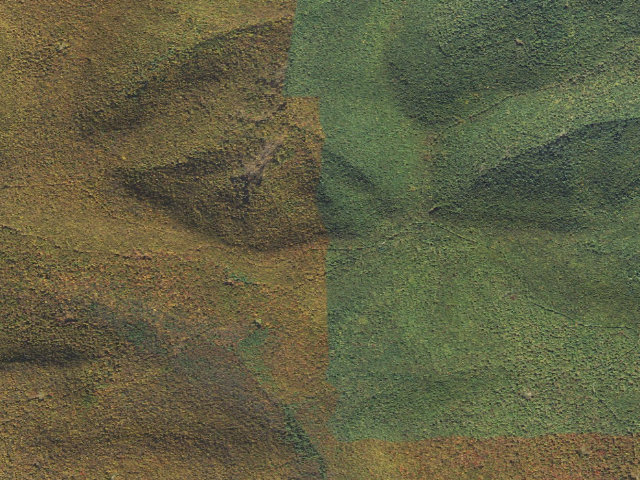 Aerial image of Sproul State Forest roadside campsite CR015