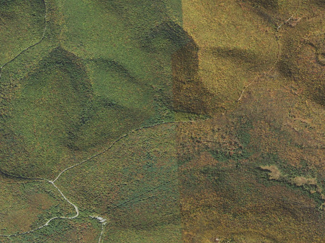 Aerial image of Sproul State Forest roadside campsite CR016