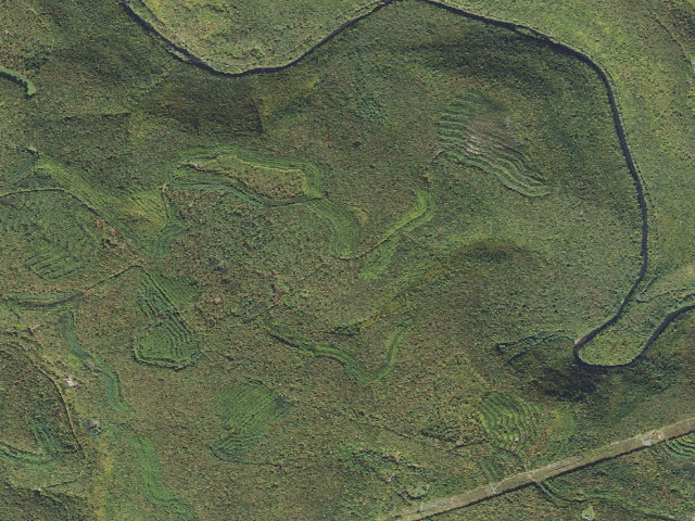 Aerial image of Sproul State Forest roadside campsite CR018