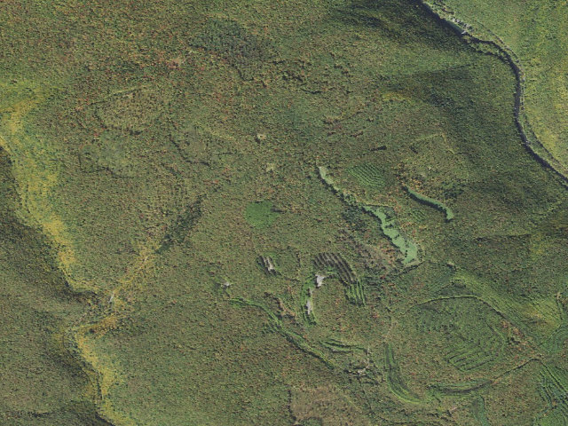 Aerial image of Sproul State Forest roadside campsite CR019