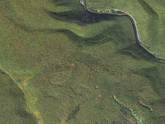 Aerial image of Sproul State Forest roadside campsite CR020