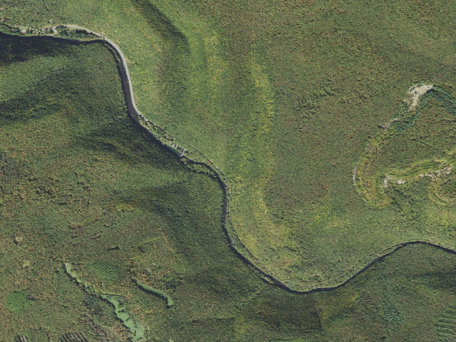 Aerial image of Sproul State Forest roadside campsite CR021