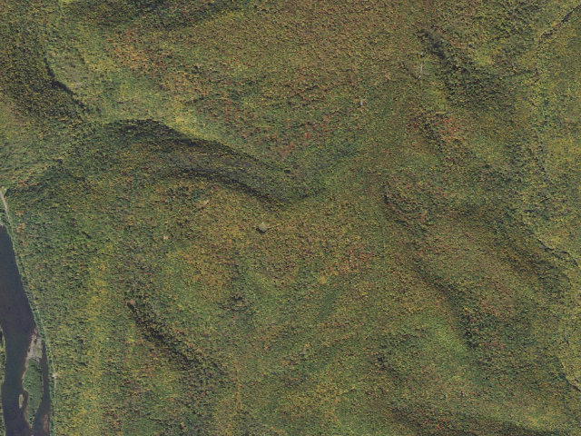 Aerial image of Sproul State Forest roadside campsite HY036