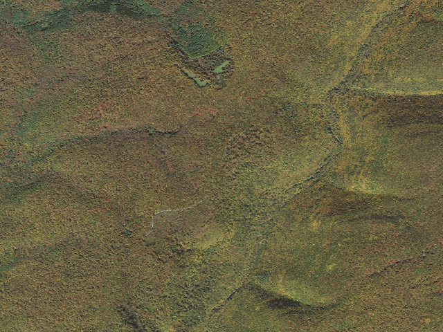 Aerial image of Sproul State Forest roadside campsite HY038
